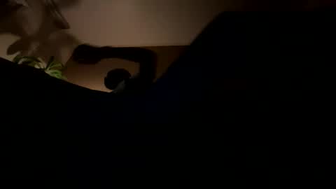 Snapshot of 11rastamilkdudbbc chatting on 03-21-26, 03:22 11rastamilkdudbbc online show from 03-21-26, 03:22