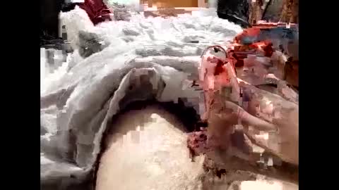 Snapshot of 19spieler99 chatting on 02-08-25, 08:21 19spieler99 online show from 02-08-25, 08:21