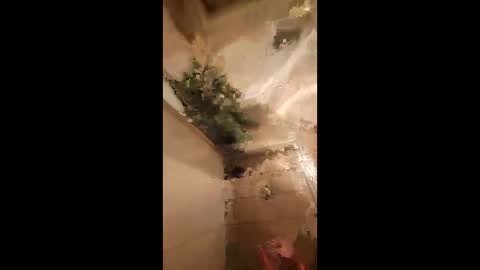 1naughtypapi online show from 06-05-26, 12:22