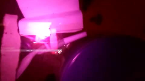 Snapshot of 1st___ chatting on 11-25-25, 08:58 1st___ online show from 11-25-25, 08:58