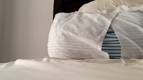 2022felipe online show from 12-14-24, 08:18