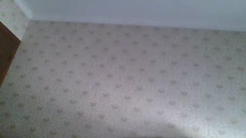 23player online show from 04-22-26, 12:35