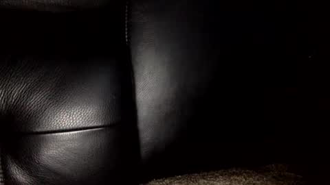 30nick online show from 01-10-26, 07:37