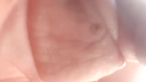 Snapshot of 3this88guy chatting on 02-12-25, 07:24 Thisguy online show from 02-12-25, 07:24