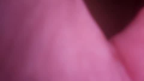 415cs online show from 07-31-26, 06:51
