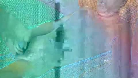 Daddy online show from 10-19-25, 04:51