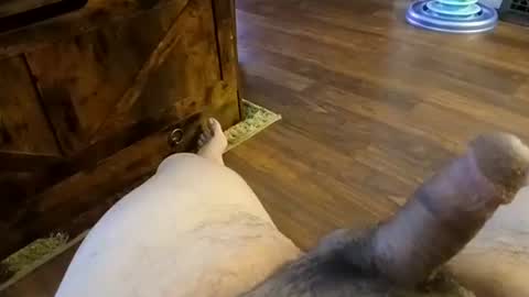 5tone_bon3 online show from 01-20-25, 07:04