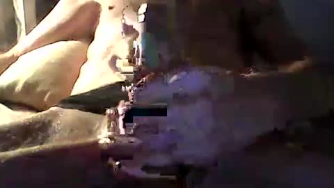 Zeus online show from 04-14-26, 10:54