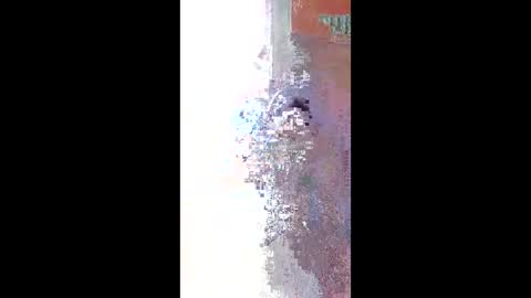 Zeus online show from 04-22-26, 11:23