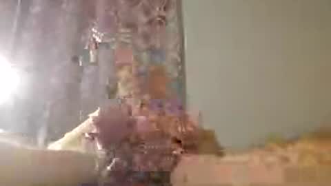 Zeus online show from 07-15-26, 01:33