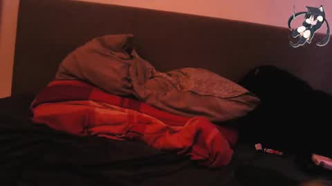 Shady online show from 12-29-24, 12:23