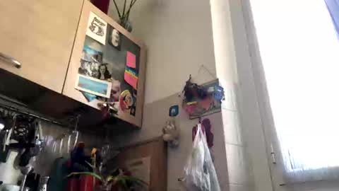 6990fiko online show from 03-04-25, 12:55