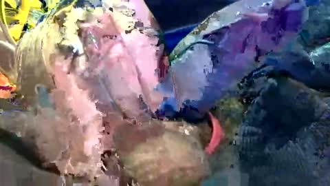 6990fiko online show from 10-27-25, 11:58