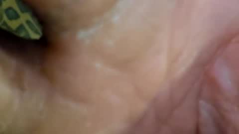 HUGH G RECTION online show from 12-07-24, 09:00