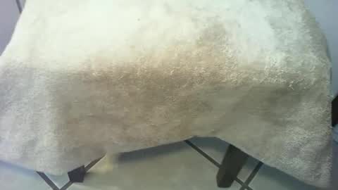 Snapshot of 69forever453443 chatting on 03-15-26, 02:56 69forever453443 online show from 03-15-26, 02:56