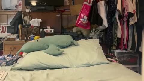 FUCKR online show from 03-17-26, 04:50