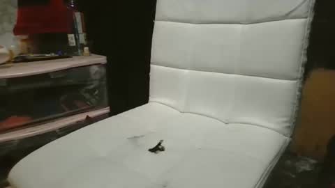 69meowxxx online show from 11-03-25, 03:24