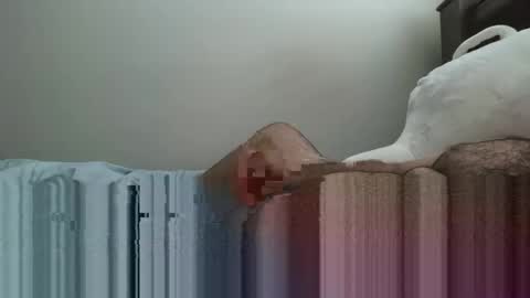 6boss498491 online show from 02-23-26, 12:52