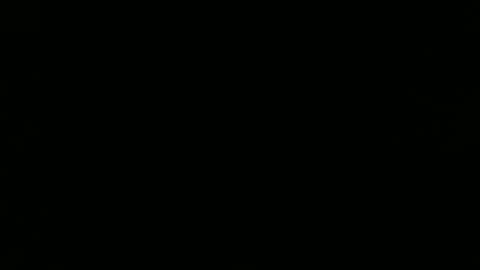 Noha online show from 01-26-25, 09:51