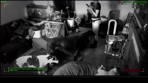 Snapshot of 6vyr_vlt9 chatting on 12-17-25, 04:57 Voyeur Vault online show from 12-17-25, 04:57