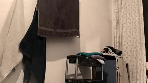 88piterr88 online show from 02-25-26, 03:16