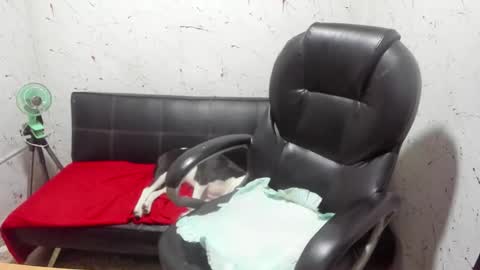     ----       online show from 03-07-26, 05:04