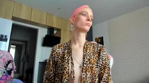 Snapshot of _alice_kitty chatting on 04-30-26, 12:44 Gaylord online show from 04-30-26, 12:44