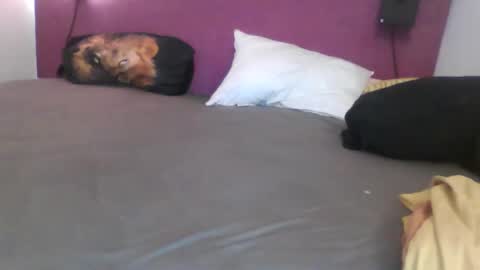 _bertl_ online show from 10-25-25, 08:36