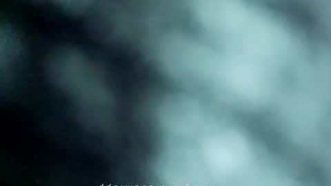 _black_horse_1 online show from 05-16-26, 12:51