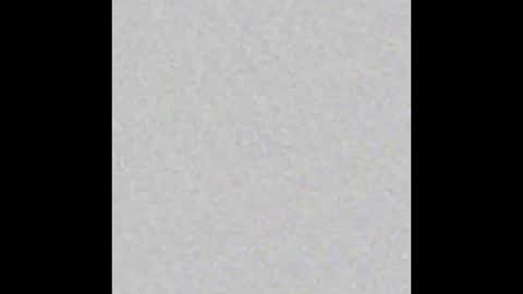 Snapshot of _brendamichel_ chatting on 10-16-25, 11:55 Brenda online show from 10-16-25, 11:55