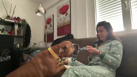  elena barra online show from 11-29-25, 12:41