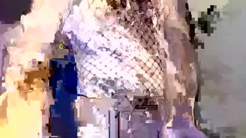  incocknito  online show from 12-16-25, 05:40