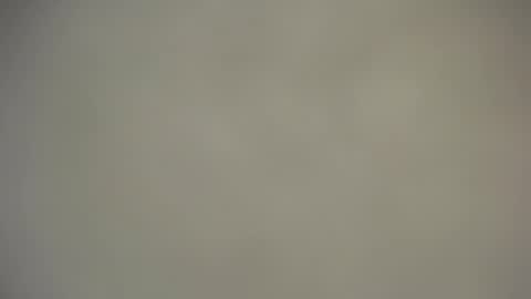 Nica online show from 11-25-25, 09:09