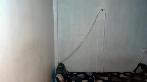 _shanexx online show from 12-15-25, 05:34