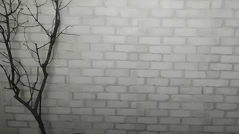 Snapshot of _snow_queen__ chatting on 12-14-24, 01:27 Rachel online show from 12-14-24, 01:27