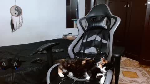 Snapshot of aarman_bannana chatting on 01-17-25, 04:06 aarman online show from 01-17-25, 04:06