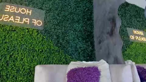 A B B Y online show from 02-13-25, 11:50