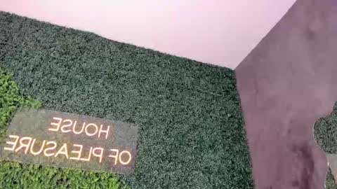 A B B Y online show from 02-19-25, 12:11