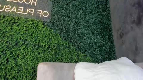 A B B Y online show from 02-19-25, 06:21