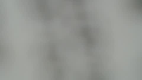 ABBY online show from 12-22-24, 03:44