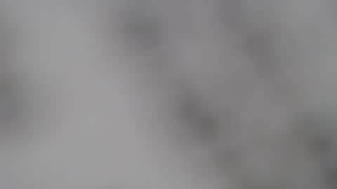 ABBY online show from 02-05-25, 01:00