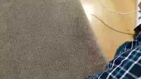 Snapshot of abepenix7 chatting on 03-23-26, 12:58 abepenix7 online show from 03-23-26, 12:58