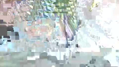 Snapshot of acexx8124 chatting on 02-23-26, 02:14 acexx8124 online show from 02-23-26, 02:14