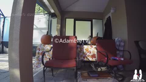 Adam And Eve online show from 11-01-25, 08:33