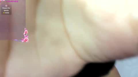 ADAMS Y NIKI online show from 11-03-25, 12:39