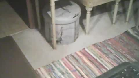 Snapshot of adamsny chatting on 09-22-25, 07:54 adamsny online show from 09-22-25, 07:54