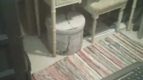 Snapshot of adamsny chatting on 11-04-25, 08:46 adamsny online show from 11-04-25, 08:46