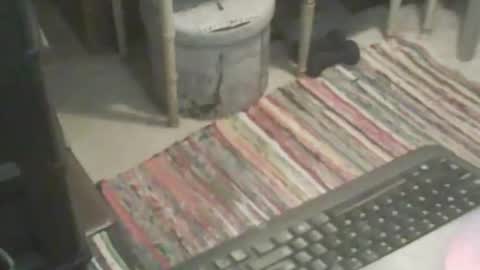 Snapshot of adamsny chatting on 11-09-25, 06:55 adamsny online show from 11-09-25, 06:55