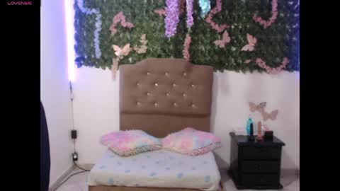Snapshot of adara_cute_69 chatting on 05-29-26, 08:18 Adara online show from 05-29-26, 08:18