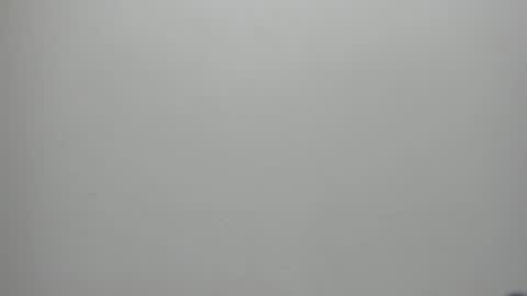 adbel sady online show from 01-17-25, 11:17